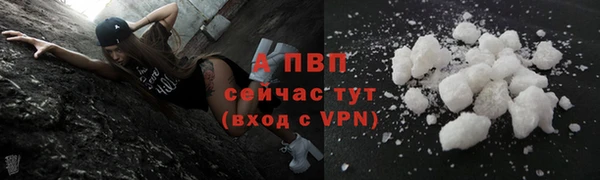 тгк Бородино